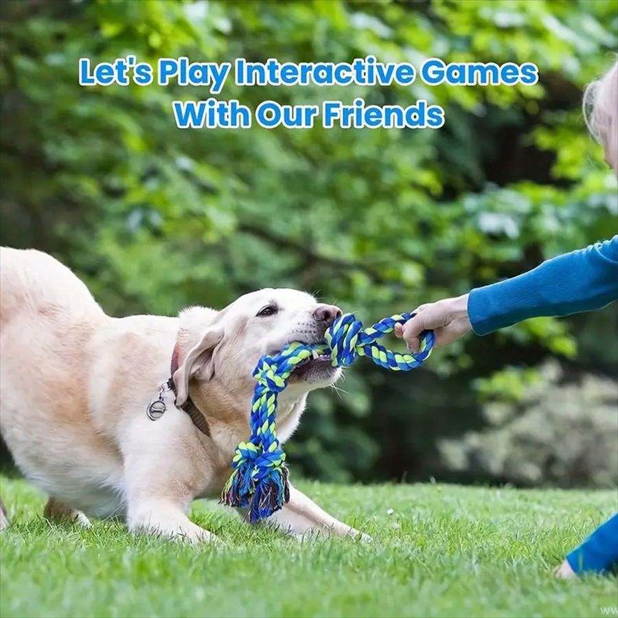 Tug of War Interactive Teeth Cleaning Rope