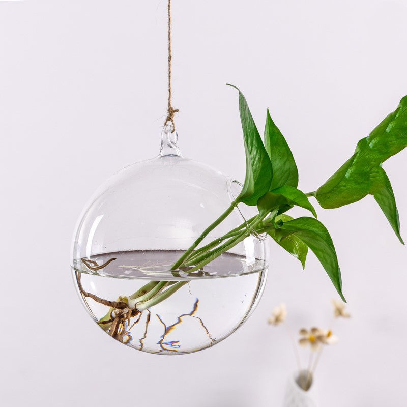 Creative Hanging Hydroponic Plant Aquarium Vase