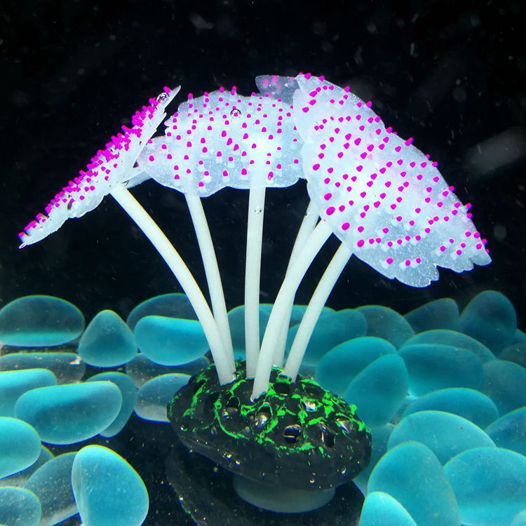 Luminous Anemone Aquarium Landscaping