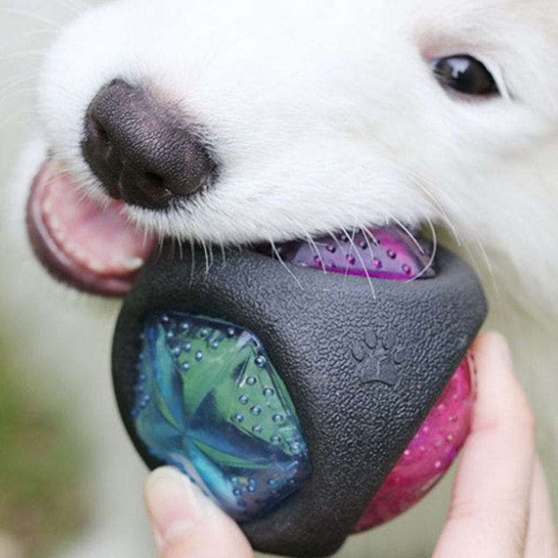 Sounding Flash Effect Dog toy ball