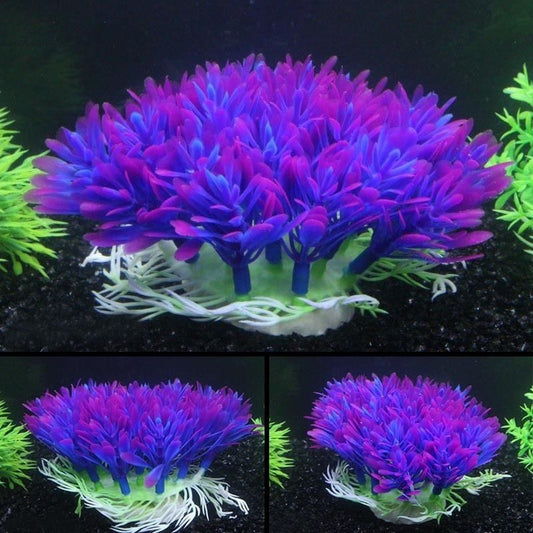 Purple Blue Aquarium Plant