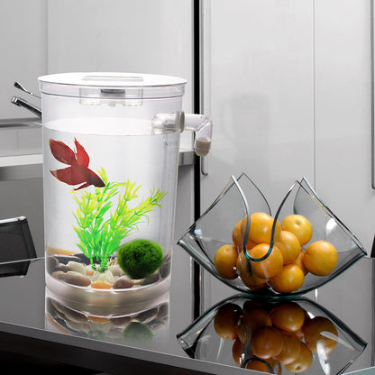 Creative Goldfish Small Aquarium