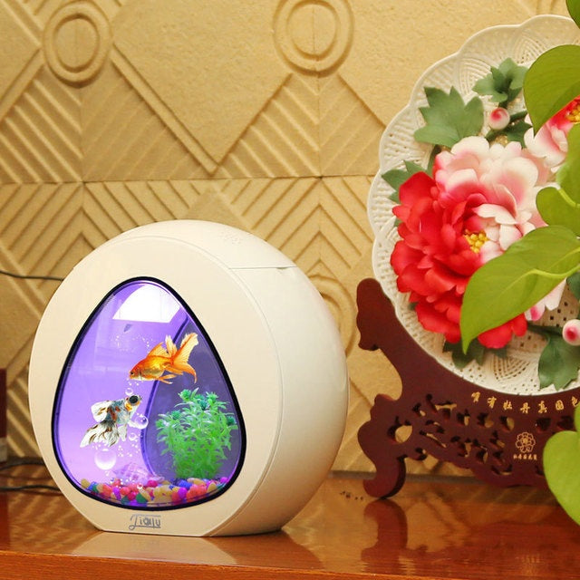 Desktop Fish Tank Aquarium