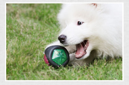 Sounding Flash Effect Dog toy ball