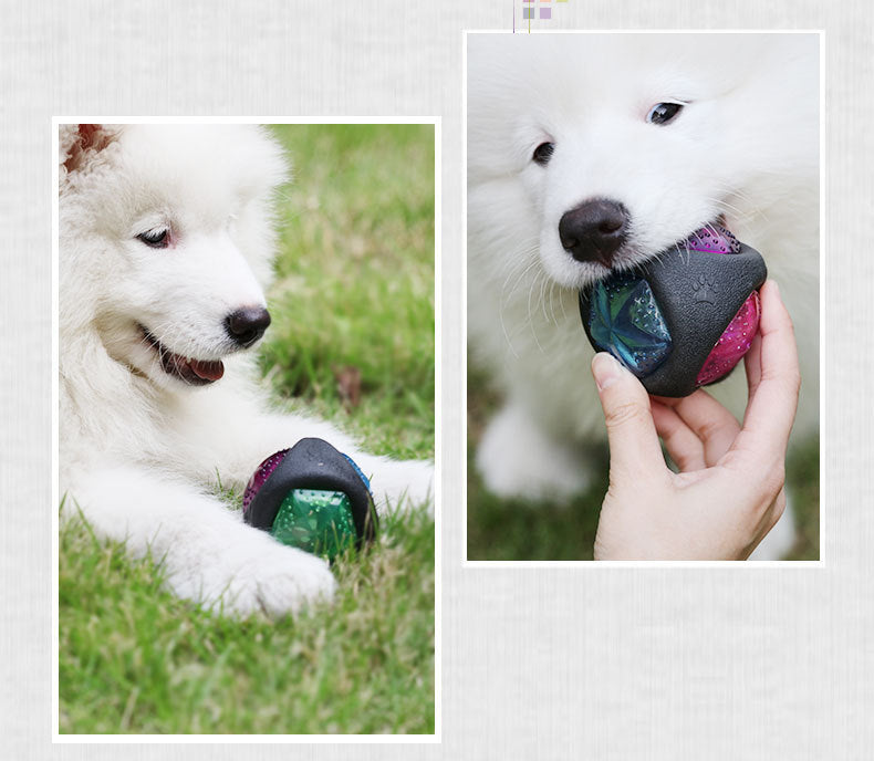 Sounding Flash Effect Dog toy ball