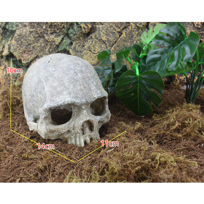 Skull Tank Aquarium Landscape