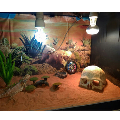 Skull Tank Aquarium Landscape