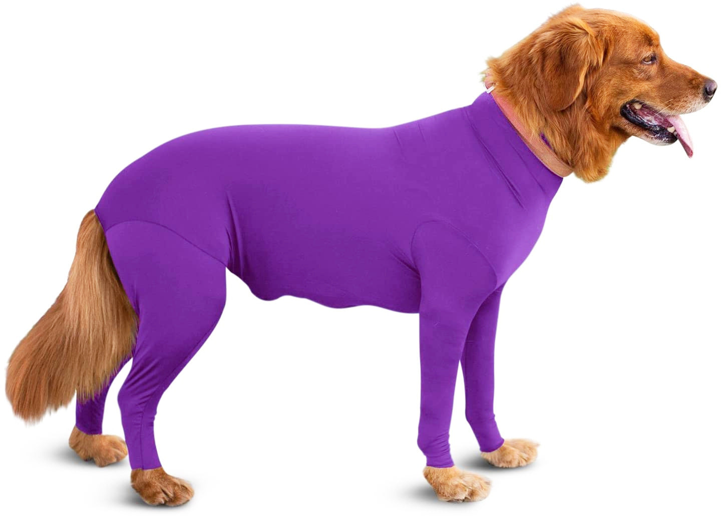 Four Legged Winter Dog Clothing