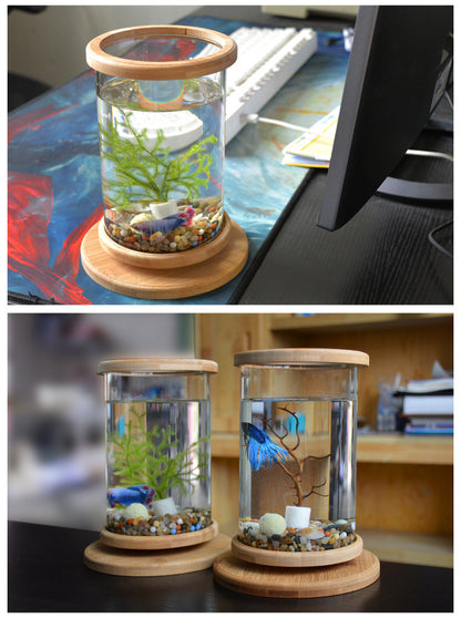 Bamboo Base Mini Fish Bowl Aquarium