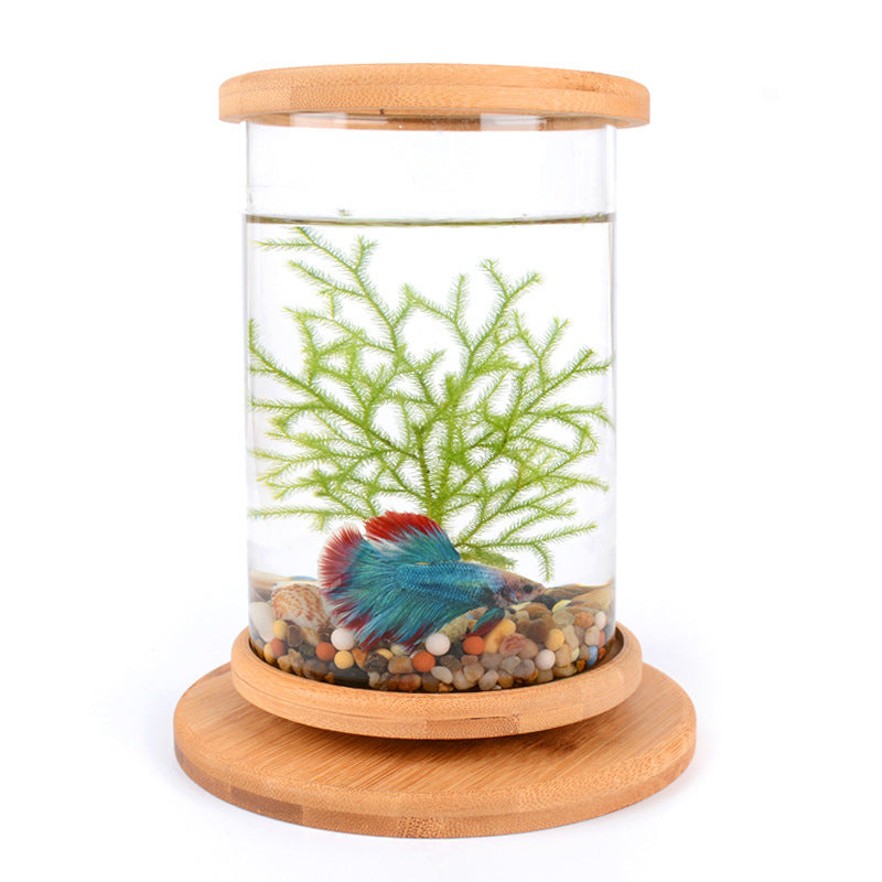 Bamboo Base Mini Fish Bowl Aquarium