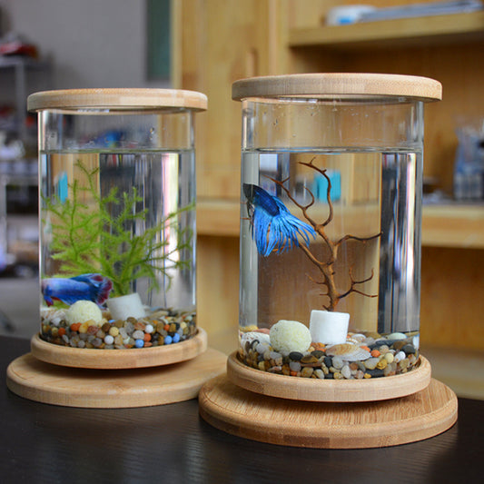 Bamboo Base Mini Fish Bowl Aquarium