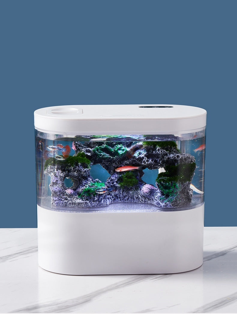 Aquarium Ecological Landscape Desktop