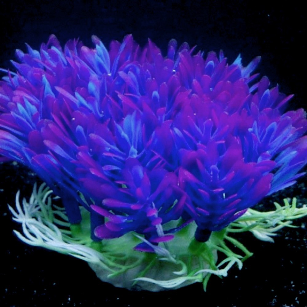 Purple Blue Aquarium Plant