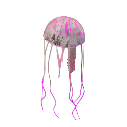 Real Jellyfish Wholesale Aquarium Landscaping