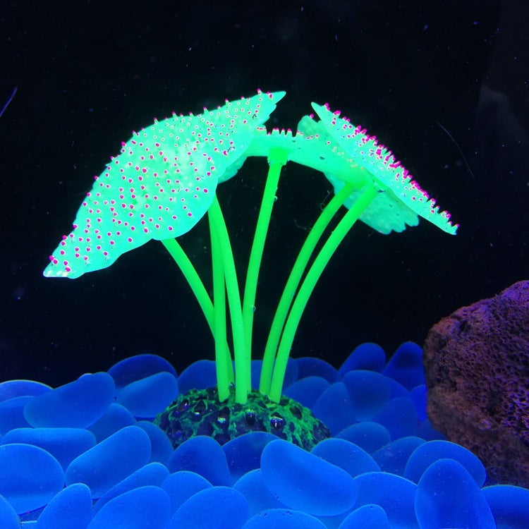 Luminous Anemone Aquarium Landscaping