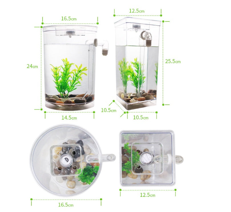 Creative Goldfish Small Aquarium