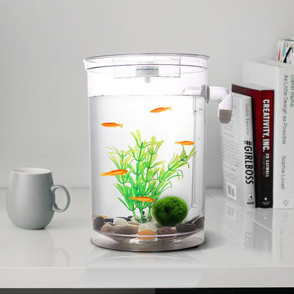 Creative Goldfish Small Aquarium