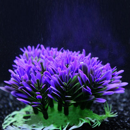 Purple Blue Aquarium Plant