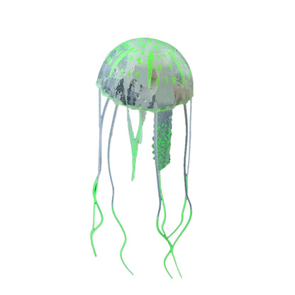 Real Jellyfish Wholesale Aquarium Landscaping