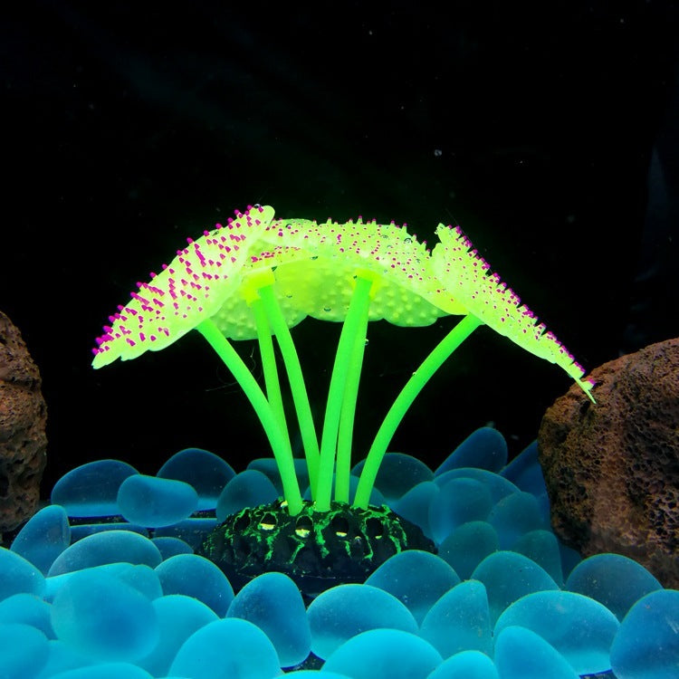 Luminous Anemone Aquarium Landscaping