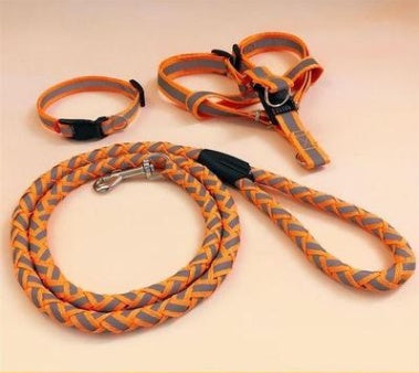 Pet Dog Leash Set