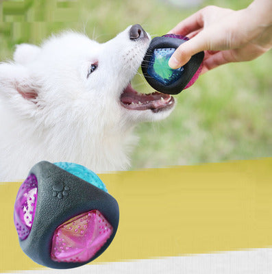 Sounding Flash Effect Dog toy ball