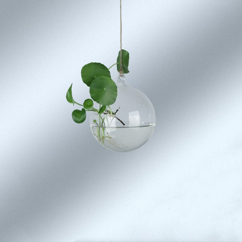 Creative Hanging Hydroponic Plant Aquarium Vase