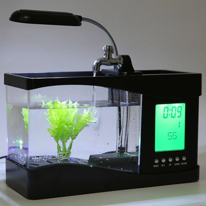 All-in-One Mini Aquarium Setup