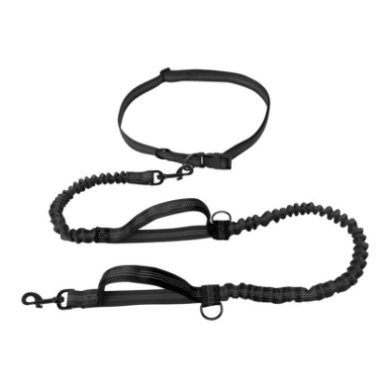 Multifunctional Running Reflective Double Telescopic Dog Leash Dog Chain Lead Rope