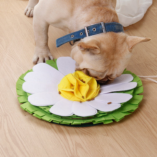 Dog sniffing pad toy