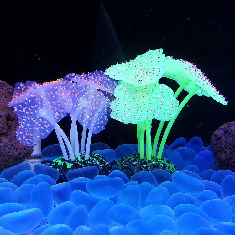 Luminous Anemone Aquarium Landscaping