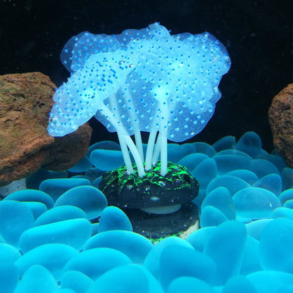 Luminous Anemone Aquarium Landscaping