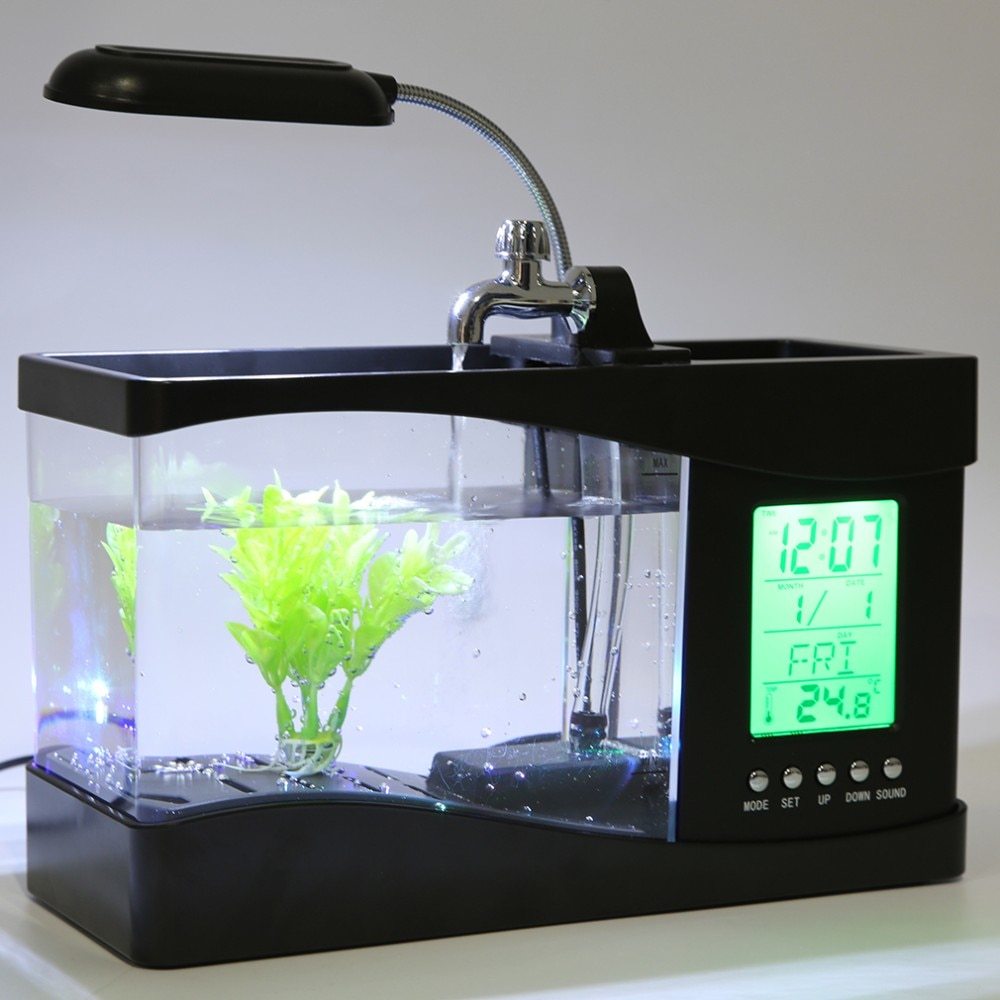 All-in-One Mini Aquarium Setup