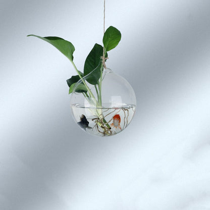 Creative Hanging Hydroponic Plant Aquarium Vase