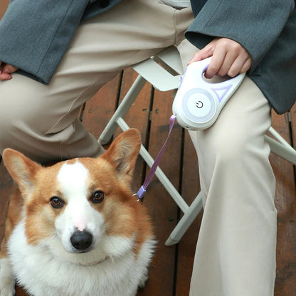 Retractable LED Dog Leash Light