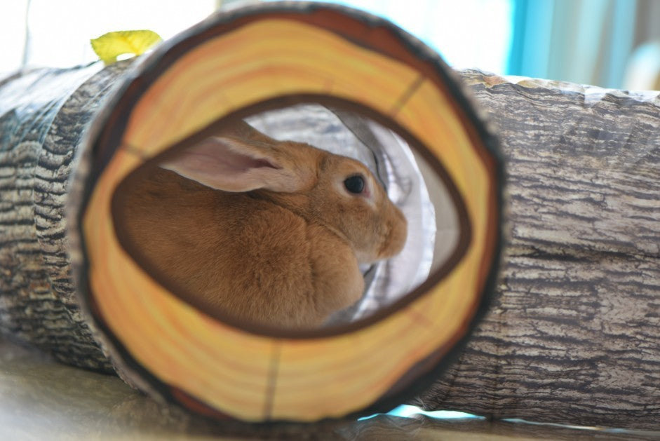 Tree Pattern Cat Tunnel Toy