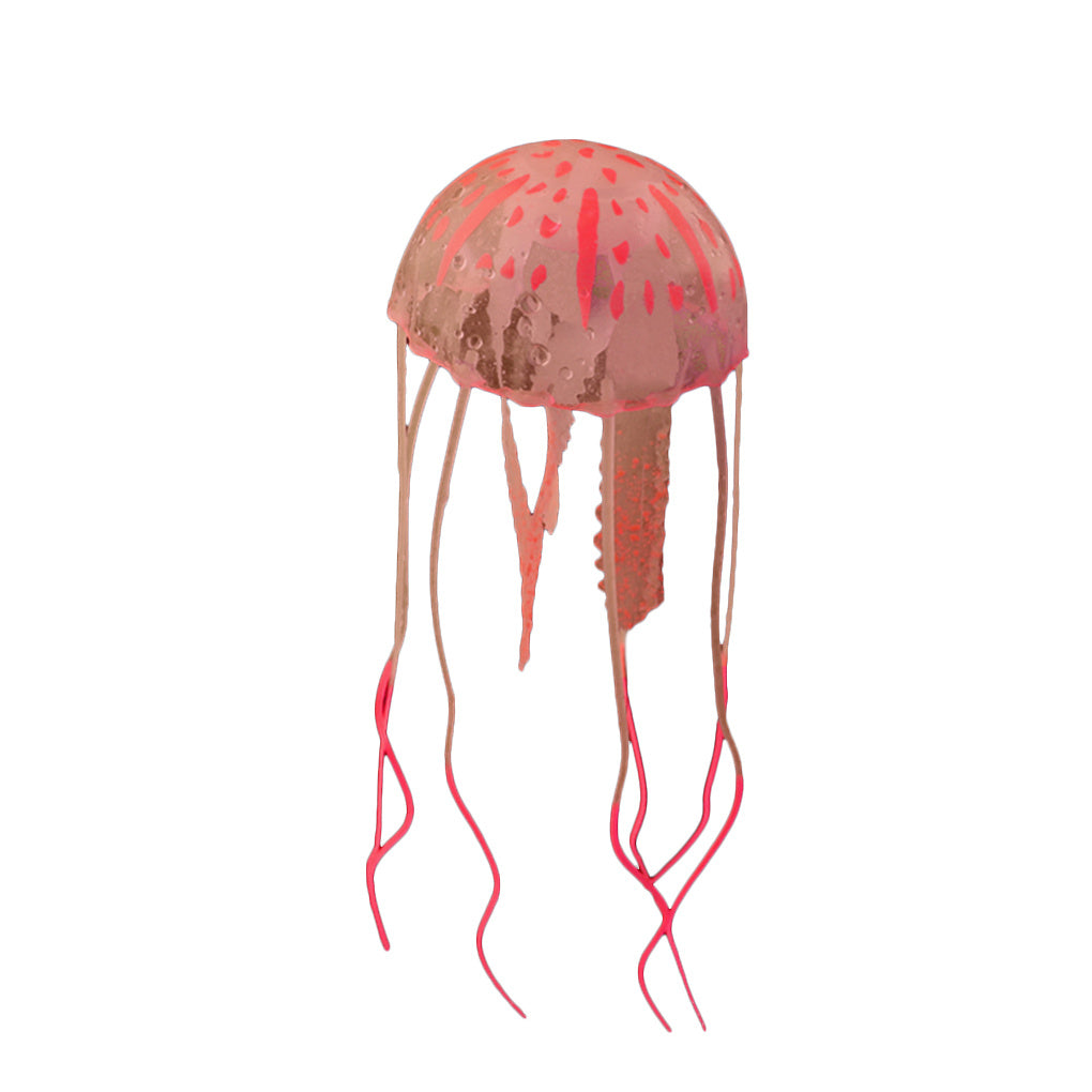 Real Jellyfish Wholesale Aquarium Landscaping