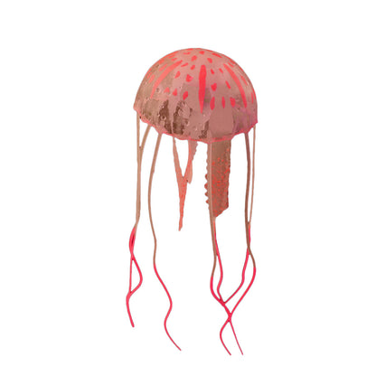 Real Jellyfish Wholesale Aquarium Landscaping