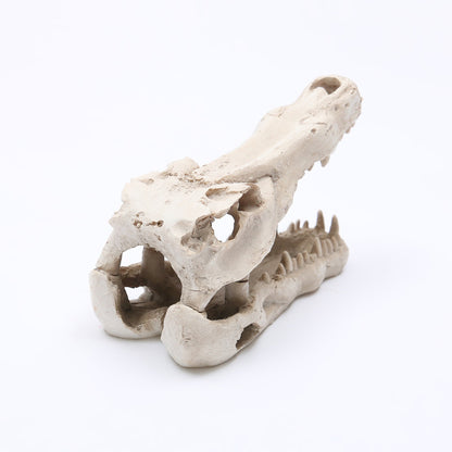 Crocodile Resin Skull for Aquarium