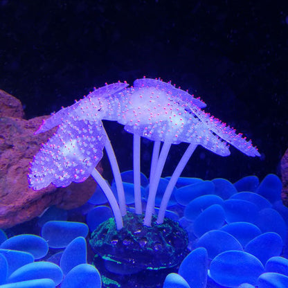 Luminous Anemone Aquarium Landscaping