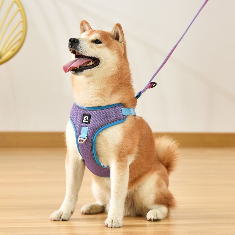 Reflective Dog Harness with Leash