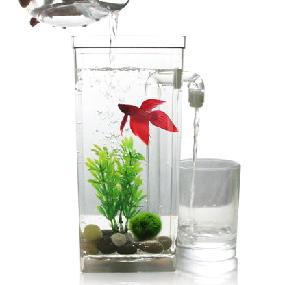 Creative Goldfish Small Aquarium