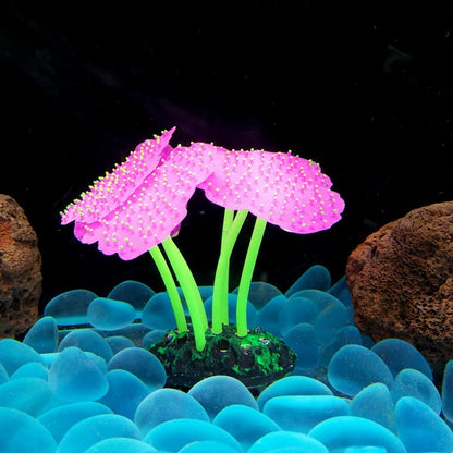 Luminous Anemone Aquarium Landscaping