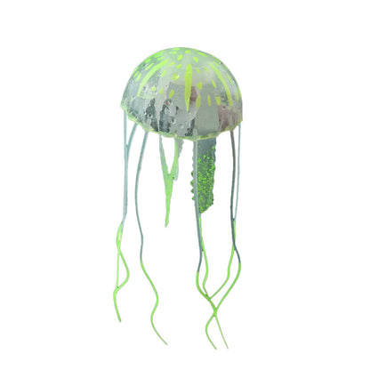 Real Jellyfish Wholesale Aquarium Landscaping