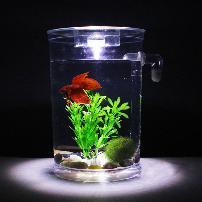 Creative Goldfish Small Aquarium