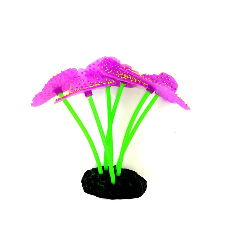 Luminous Anemone Aquarium Landscaping