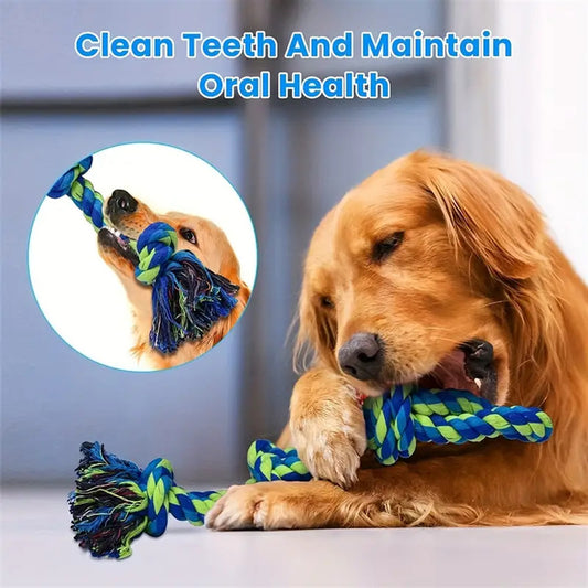 Tug of War Interactive Teeth Cleaning Rope