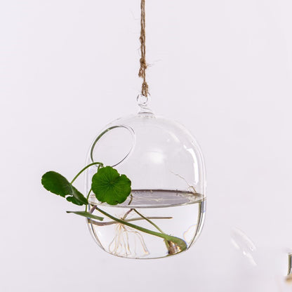 Creative Hanging Hydroponic Plant Aquarium Vase