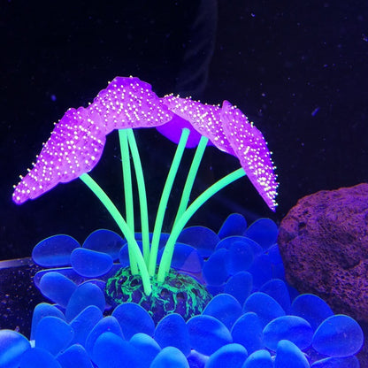 Luminous Anemone Aquarium Landscaping