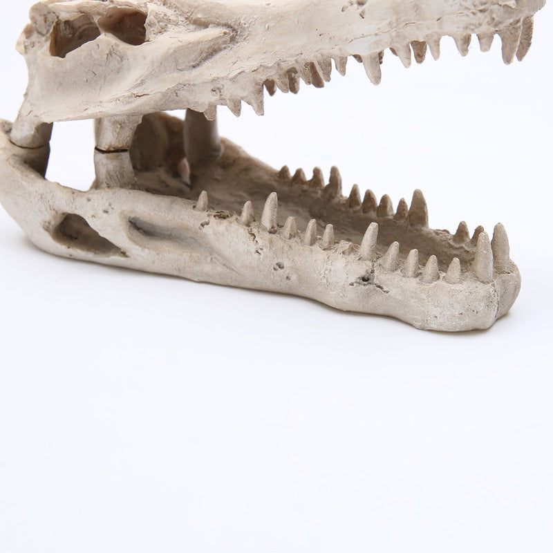 Crocodile Resin Skull for Aquarium